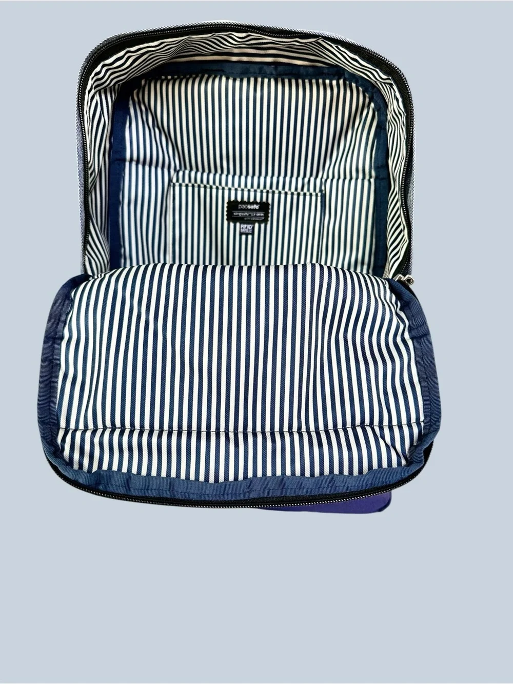 Pacsafe Unisex Slingsafe LX350 Anti-Theft Compact Backpack with Exomesh